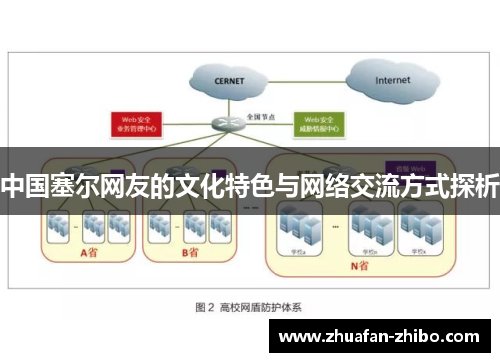 中国塞尔网友的文化特色与网络交流方式探析